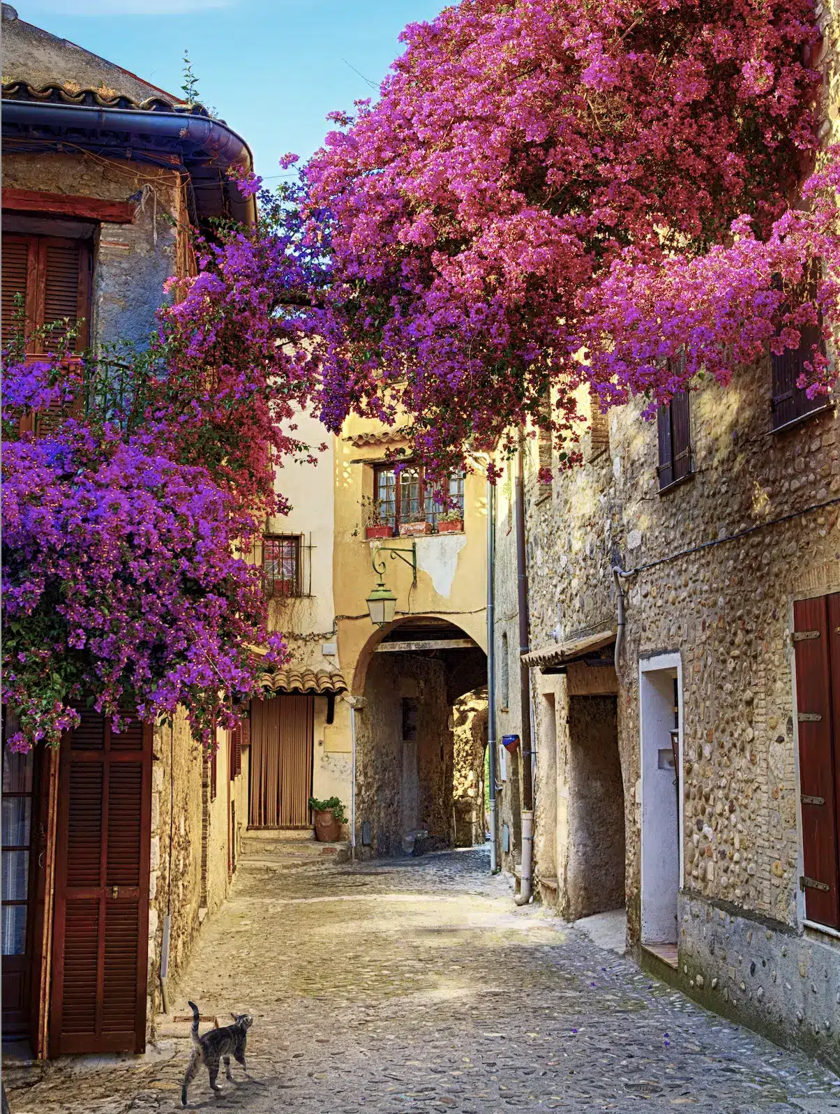 A quiet, romantic street in the charming french area of Provenance, France.